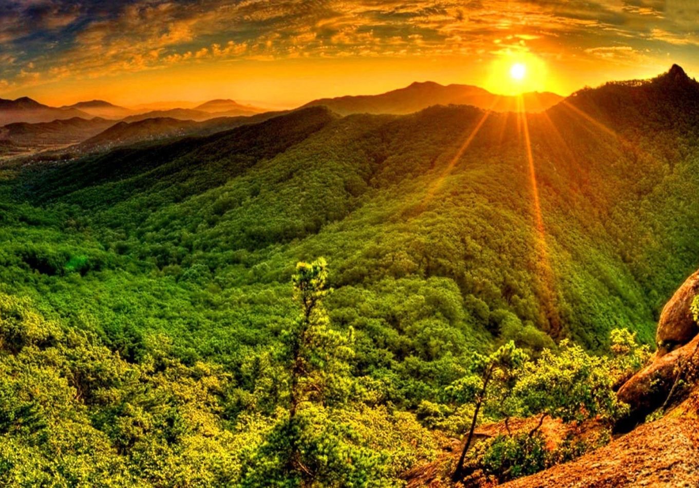 Plan Trip With Force Urbania Mumbai To Lonavala And Khandala  